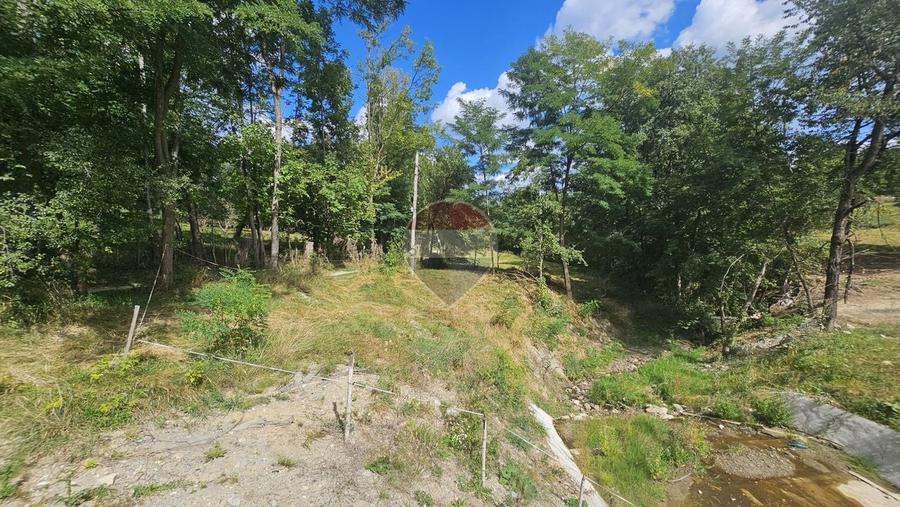 Casă individuală cu 4 camere cu Teren 4840 Mp în Sohodol