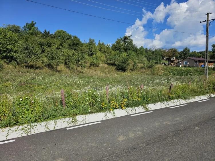 Casă cu 5 camere în Mărunțișu