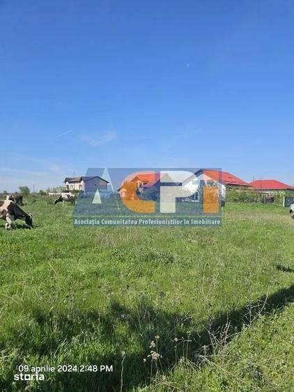 Teren de 850 mp, în Mihăilești