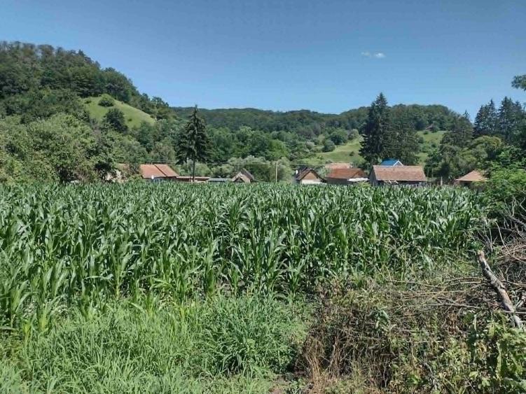 Casă cu 3 camere în Nou