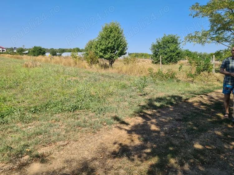 Teren de 5000 mp, în Central