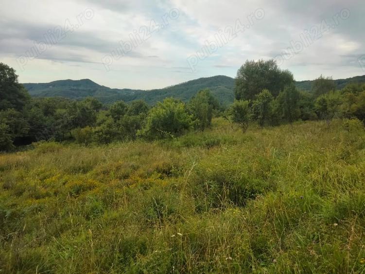 Teren de 1400 mp, în Central