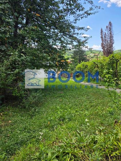 Casă cu 3 camere cu Teren 540 Mp în Ocnița