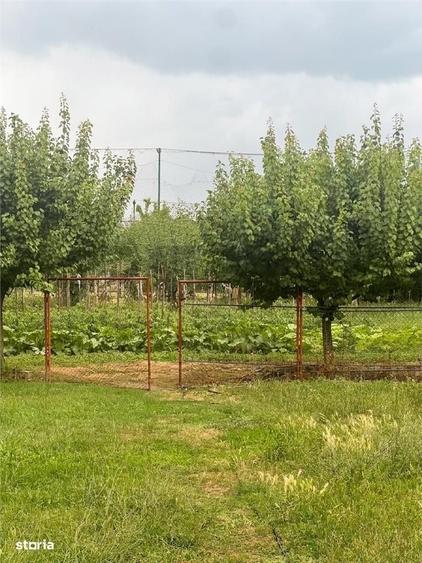 Casă cu 4 camere în Tileagd
