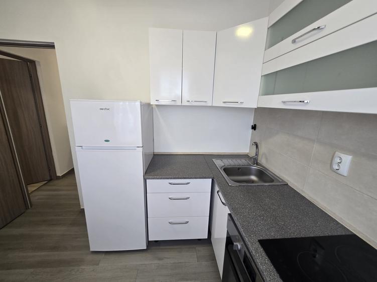 Apartament cu 2 camere decomandat, mobilat în Bună Ziua