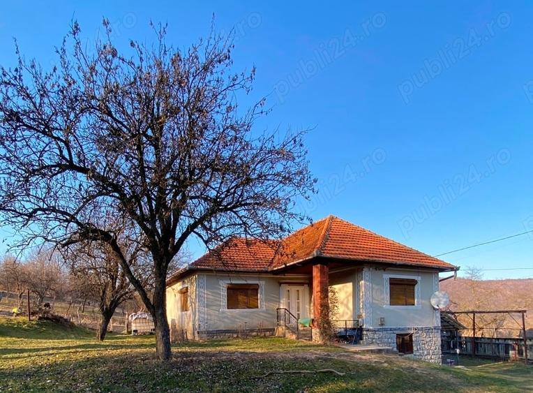 Casă cu 5 camere cu Teren 8000 Mp în Ciucea