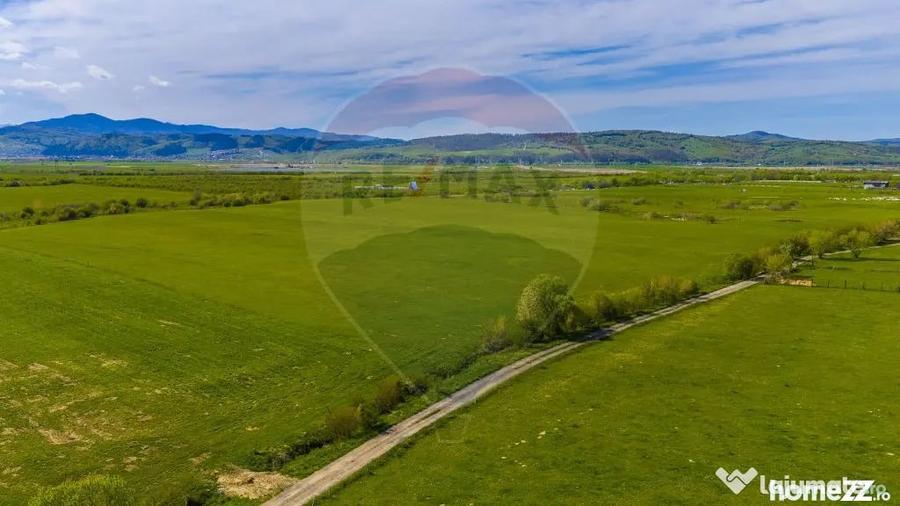 Teren 3000mp de vanzare in Ra?nov / Panicel - Rasnov (Brasov) - 14