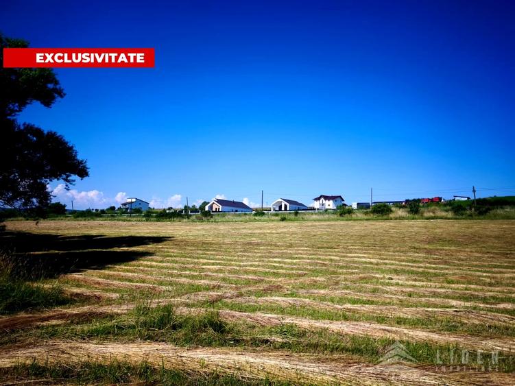 Teren Construcții intravilan de 4501 mp, în Chinteni