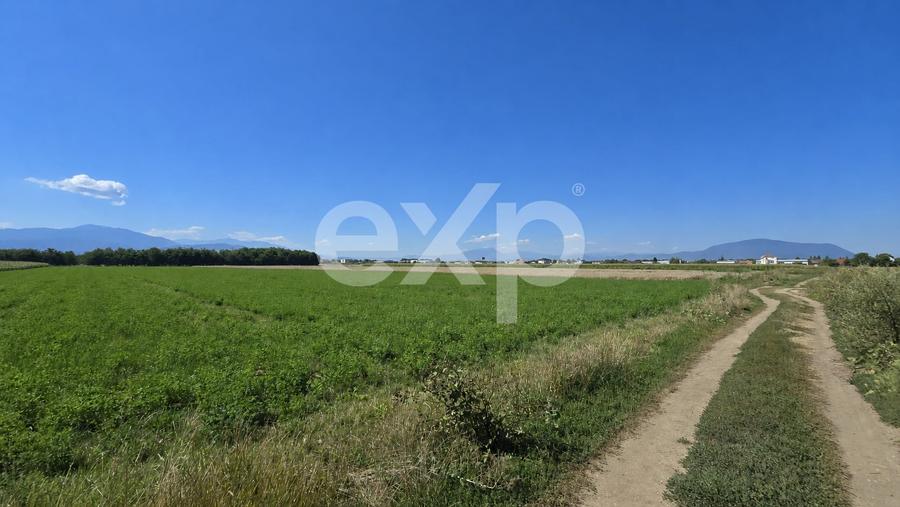 Teren agricol intravilan de 17204 mp, în Stupini