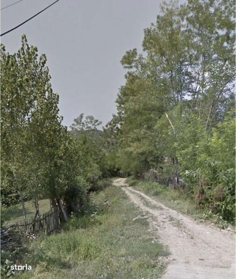 Teren de vanzare sat Sultanu, jud. Dambovita - 2