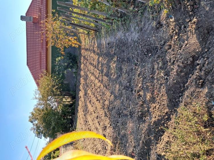 Casă cu 3 camere cu Teren 1354 Mp în Segarcea