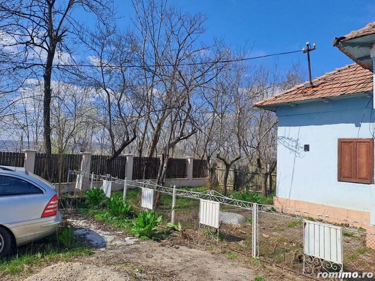 Casă cu 4 camere cu Teren 3850 Mp în Olanu