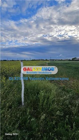 Teren intravilan de 17845 mp, în Central