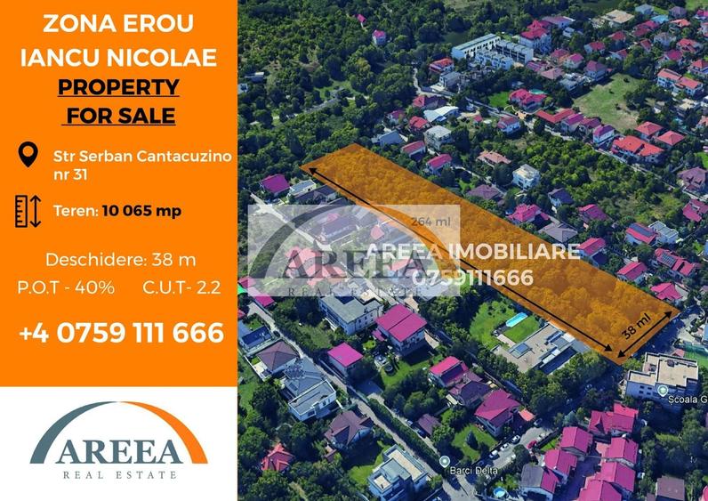 Teren Construcții intravilan de 10065 mp, în Iancu Nicolae