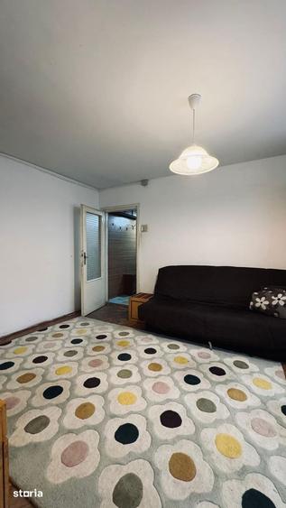 MT246 Apartament 2 camere, Sagului, parter-necesita renovare - 4