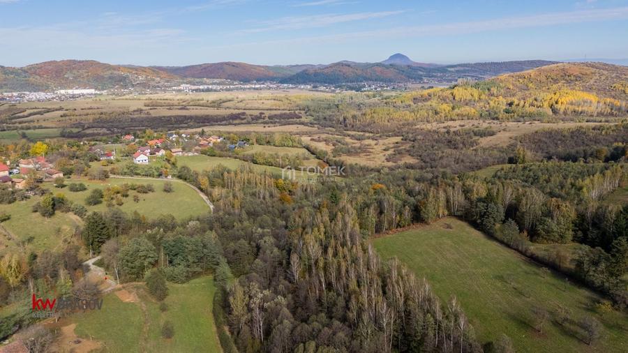 Teren Construcții intravilan de 37723 mp, în Tohănița