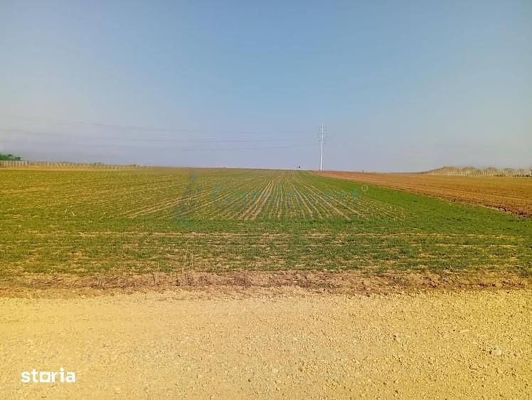 Teren de 20000 mp, în Biharia