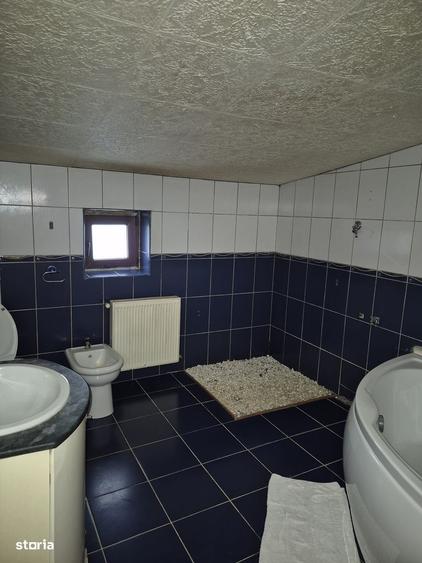 Vila cu 6 camere de inchiriat Piata Muncii - Calarasilor - 8