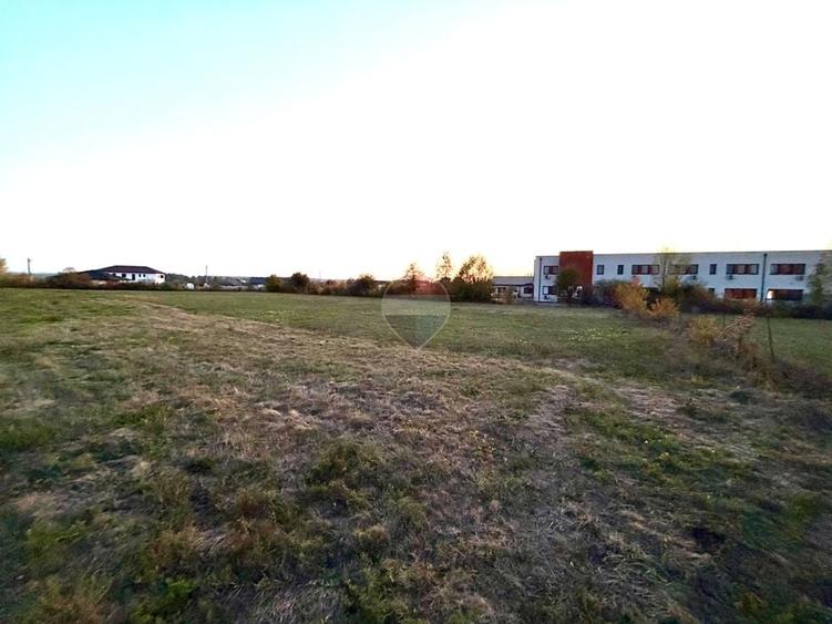 Teren Construcții intravilan de 1500 mp, în Cătălina