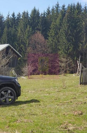 Teren intravilan 2500 mp in Valea Doftanei - 7