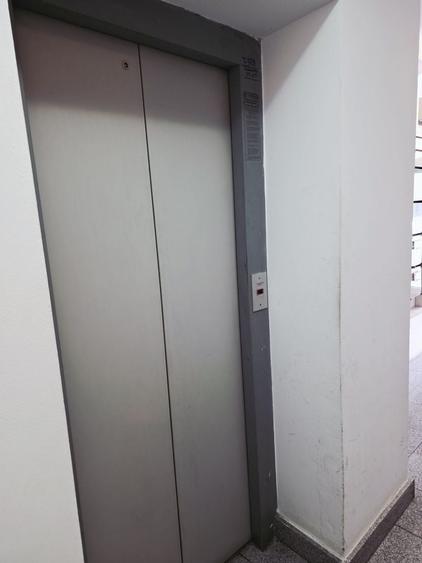 Garsonieră, mobilată în Elisabetin