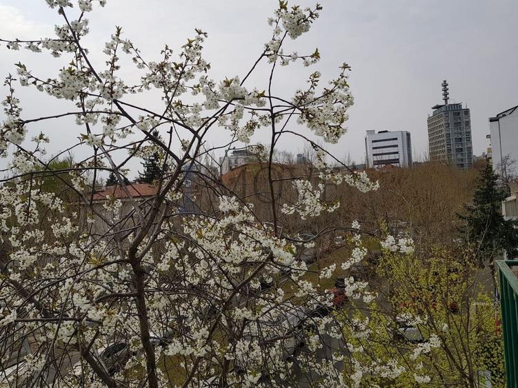 Apartament cu 2 camere decomandat, mobilat în Primăverii