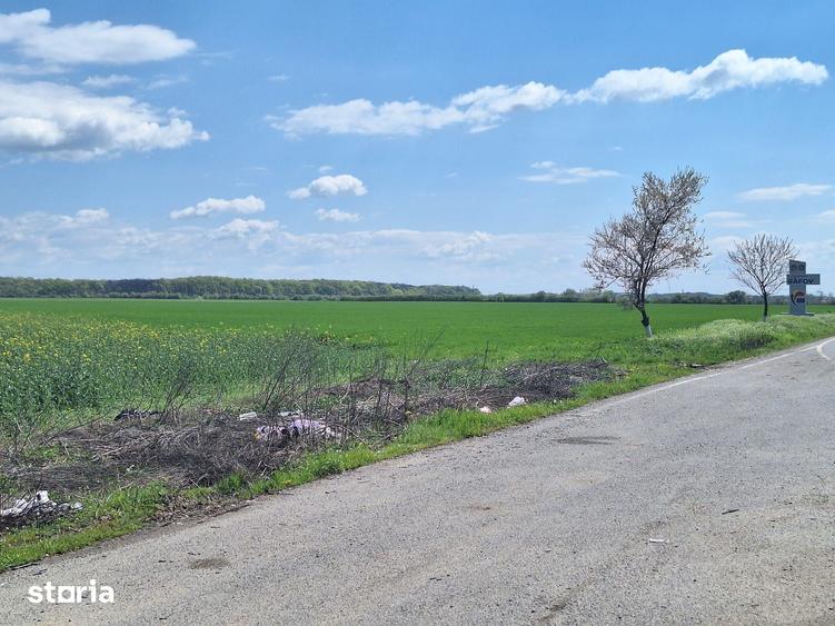 Teren de 32486 mp, în Bărcănești