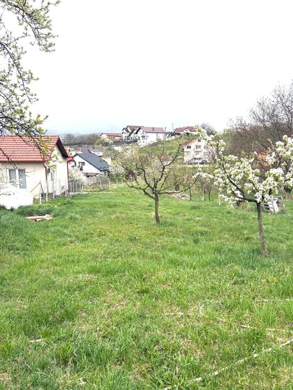 Teren Construcții intravilan de 600 mp, în Dumbrava 2