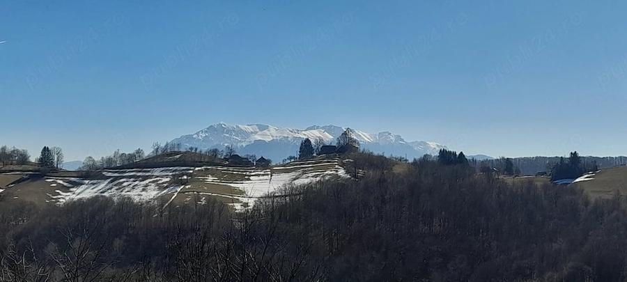 Casă cu 3 camere cu Teren 12000 Mp în Vulcan