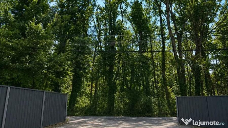 Teren în Băneasa