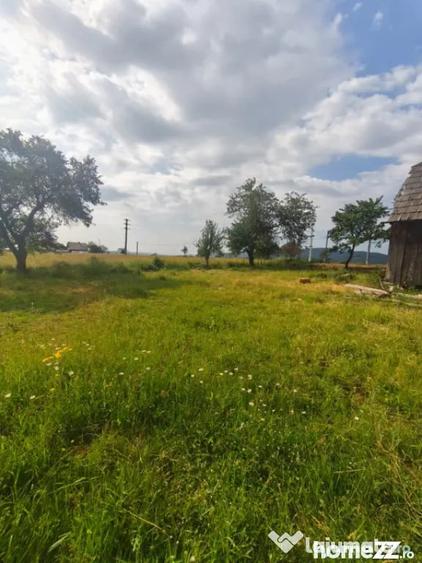 Casă cu 3 camere cu Teren 5000 Mp în Rădăuți