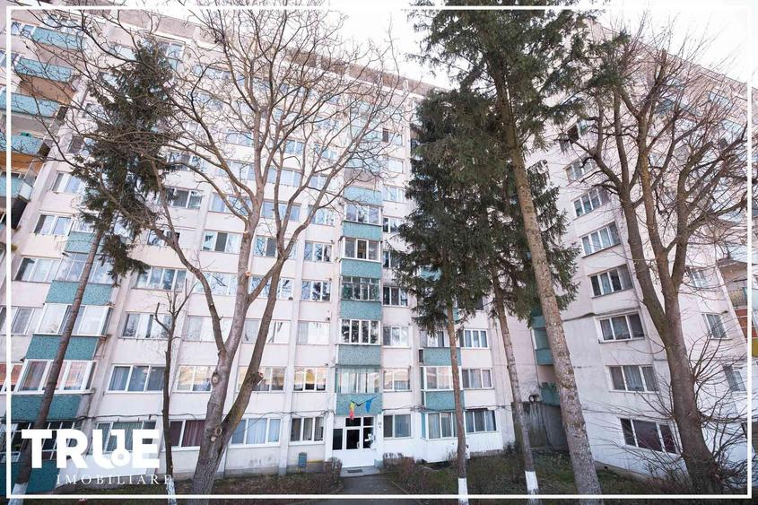 Apartament cu 3 camere decomandat, mobilat în Aleea Carpați