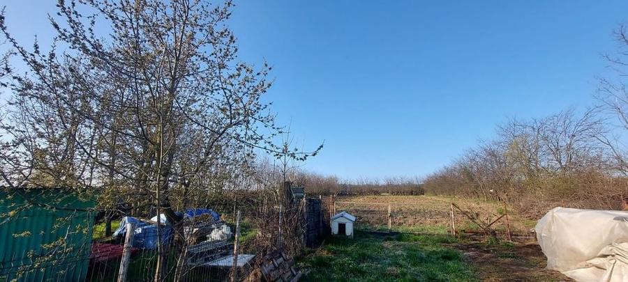 Casă cu 4 camere în Șoldănești