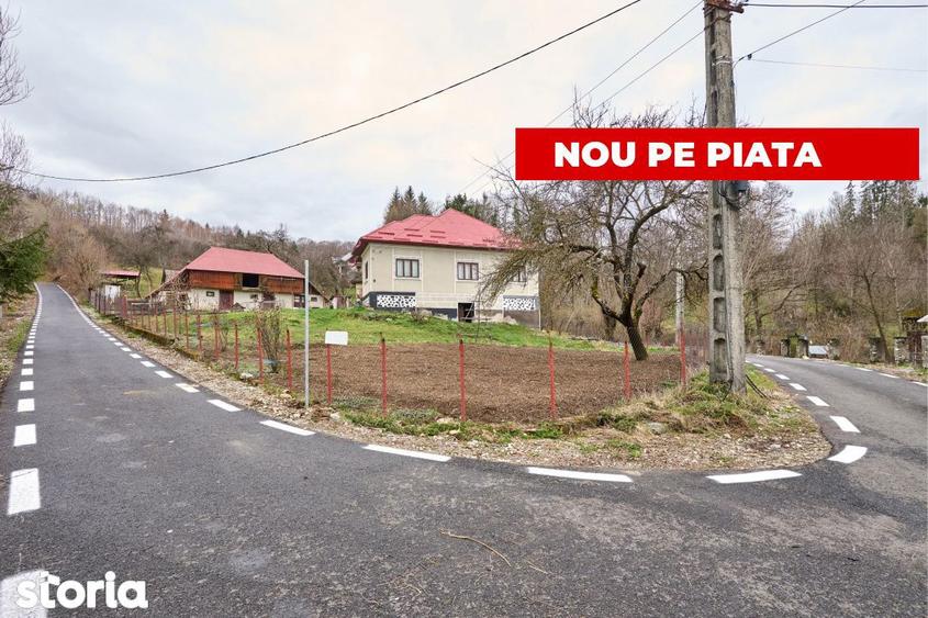 Casă cu 4 camere cu Teren 4213 Mp în Nucșoara