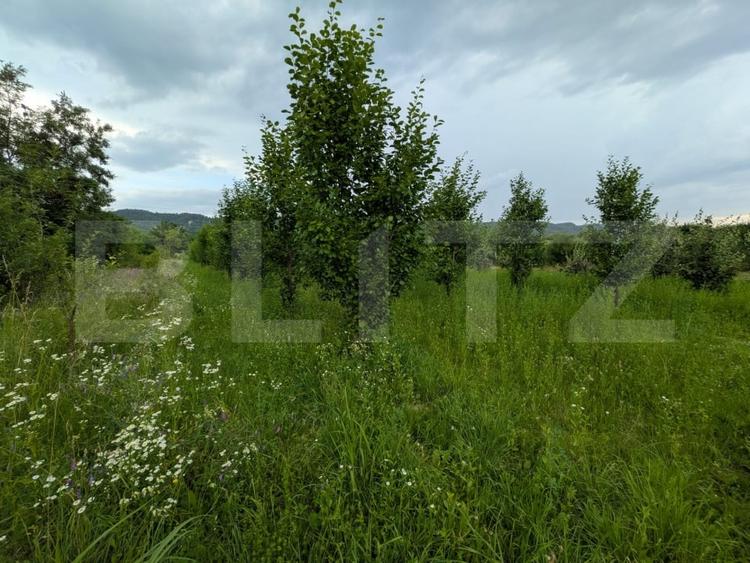 Teren Construcții intravilan de 4500 mp, în Voinești