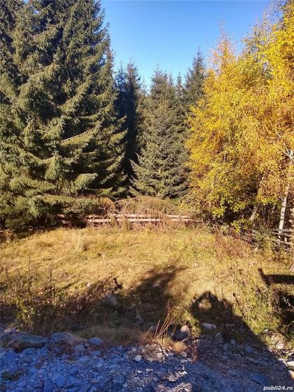 Teren de 448 mp, în Băișoara