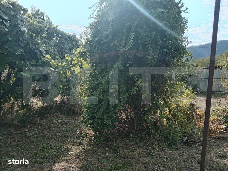 Casă cu 3 camere în Vinerea