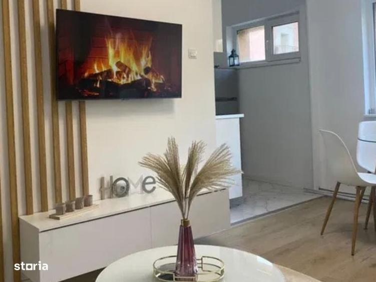 Apartament 1 camera, complet renovat Str. Dambovitei, Marasti - 7