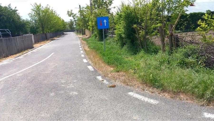 Teren de 1000 mp, în Nămoloasa
