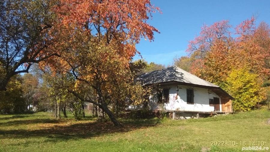 Teren de 9081 mp, în Crăcăoani