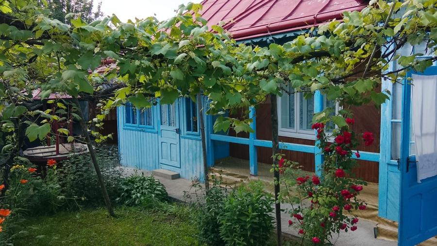 Casă individuală cu 5 camere cu Teren 2700 Mp în Ghindăoani