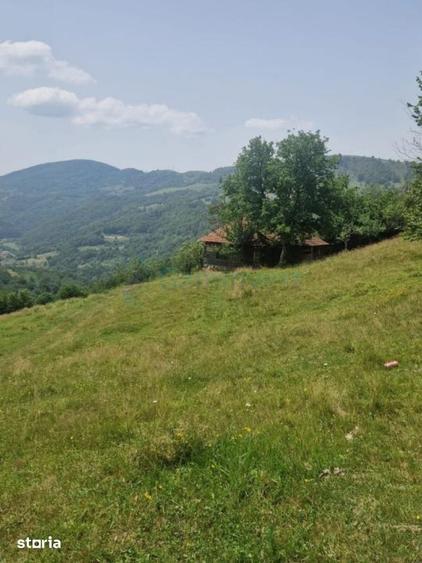Teren de 26034 mp, în Bulz