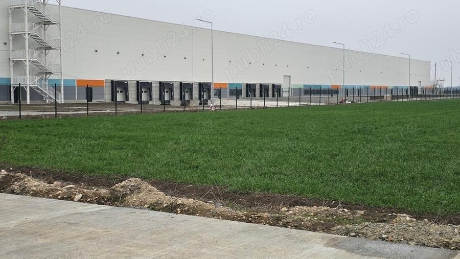 Teren Construcții intravilan de 10000 mp, în Șagului