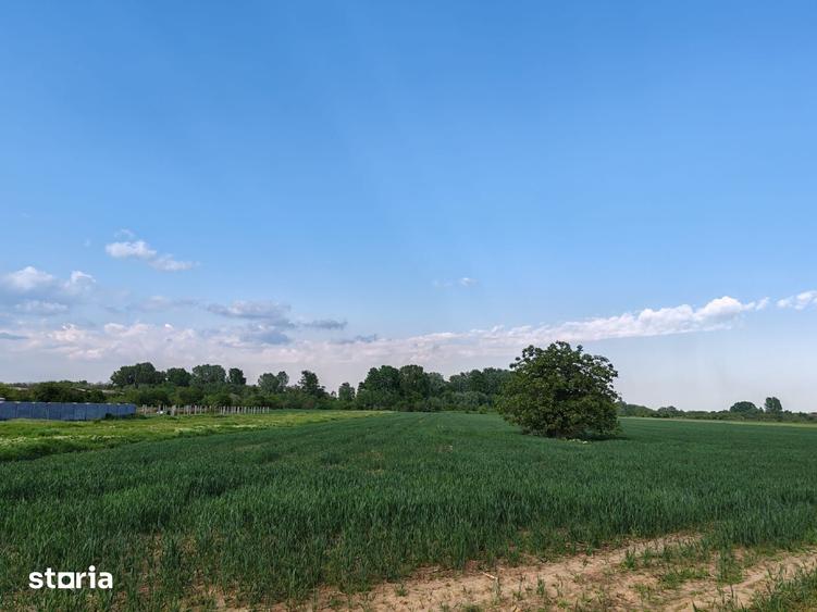Teren de 9200 mp, în Clinceni