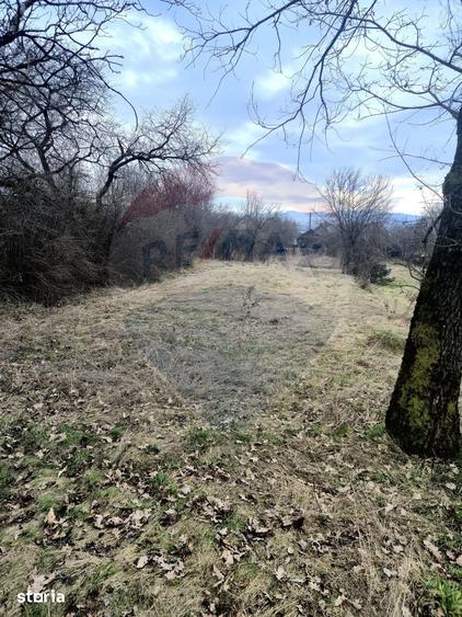 Casă cu 3 camere cu Teren 2821 Mp în Câmpulung la Tisa