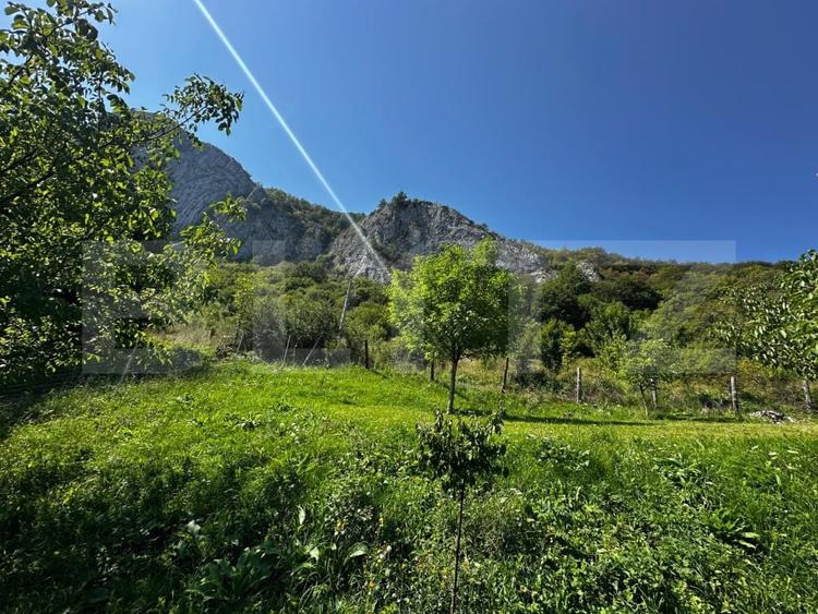 Teren Construcții extravilan de 1800 mp, în Vălișoara