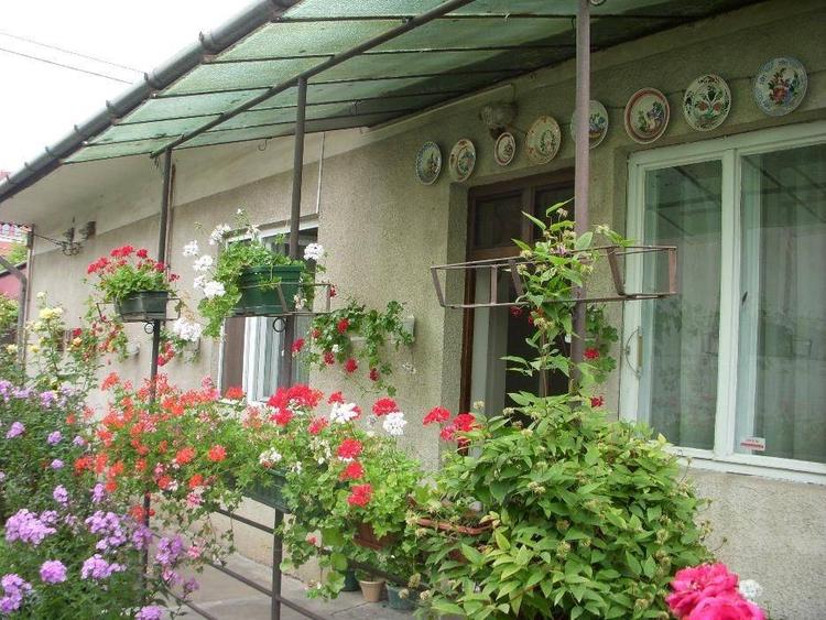 Casă cu 4 camere cu Teren 417 Mp în Central