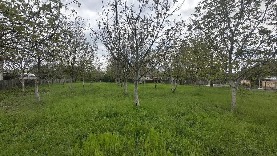 Teren de 1457 mp, în Dărmănești