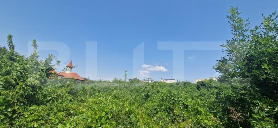Teren de 9600 mp, în Cârcea