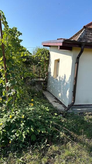 Casă cu 2 camere în Valea
